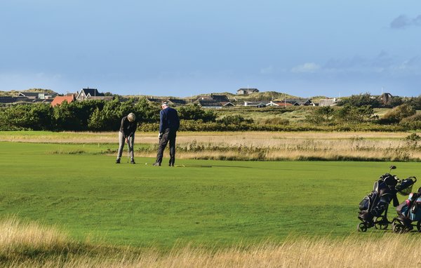 Feriehuse - Søndervig/Lodbjerg Hede , Danmark - C03226 901