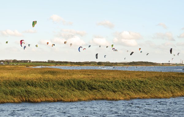 Feriehuse - Søndervig/Lodbjerg Hede , Danmark - C03226 902