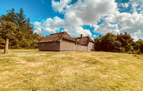 Semesterhus - Vedersø Klit / Vester Husby , Danmark - C04624 82