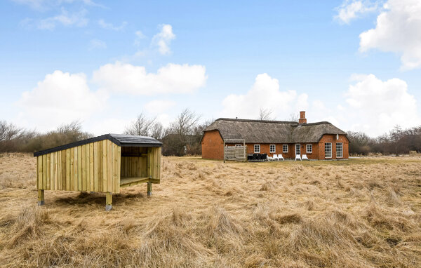 Semesterhus - Vedersø Klit , Danmark - C04673 82