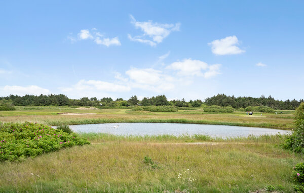 Feriehuse - Søndervig , Danmark - C06686 9