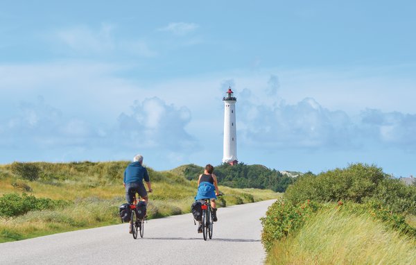 Holiday Home - Søndervig , Denmark - C11130 903