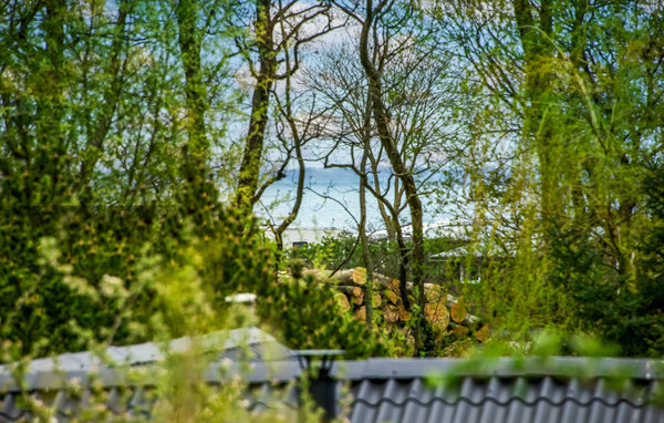 Ferienhaus - Loddenhøj Strand , Dänemark - C1195 202