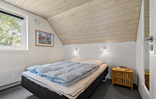 Ferienhaus - Klegod , Dänemark - C17573 604