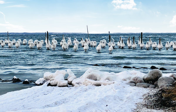 Holiday Home - Hejlsminde Strand , Denmark - C2129 902