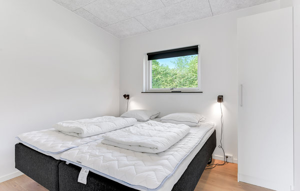 Ferienhaus - Sandersvig , Dänemark - C2196 601