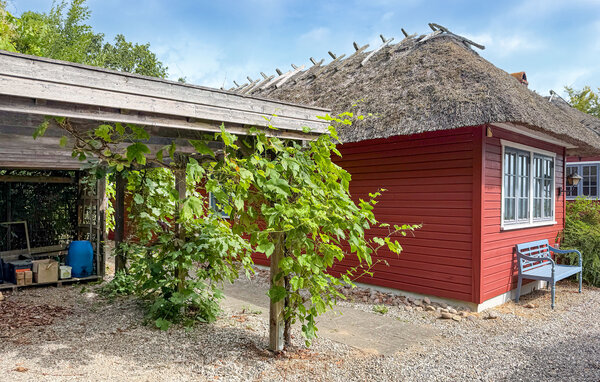 Feriehus - Grønninghoved Strand , Danmark - C2277 102