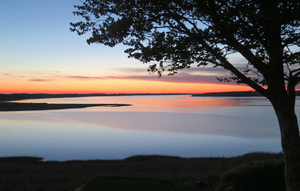 Ferienhaus - Hjarbæk Strand , Dänemark - C5300 906