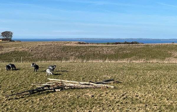 Feriehus - Nr. Nissum Strand , Danmark - C71030 2