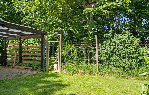 Feriehuse - Sdr. Nissum , Danmark - C71576 101