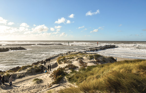 Feriehuse - Thorsminde , Danmark - C75169 905