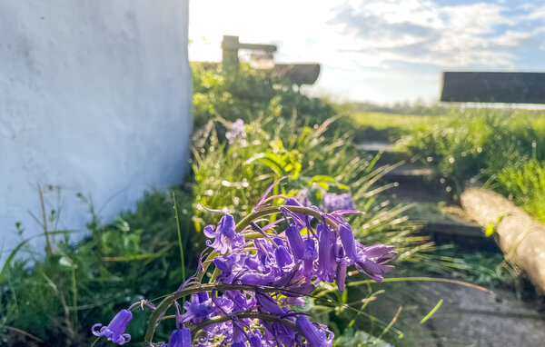 Domy wakacyjne - Skalstrup strand , Dania - C76007 102