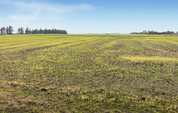Domy wakacyjne - Skalstrup strand , Dania - C76007 2