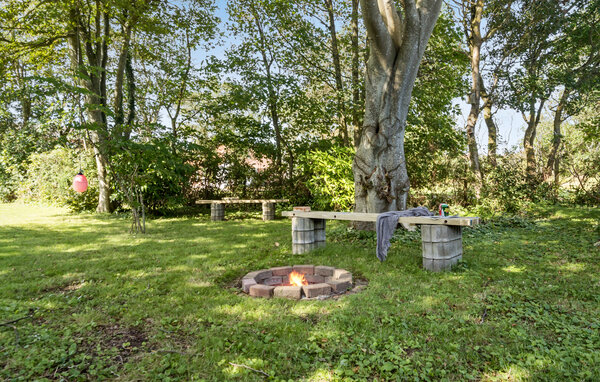 Domy wakacyjne - Fjaltring strand , Dania - C79068 101