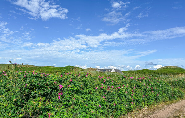 Vakantiehuis - Trans Strand , Denemarken - C79147 203