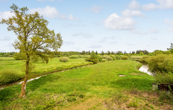 Ferienhaus - Aulum , Dänemark - C80175 902