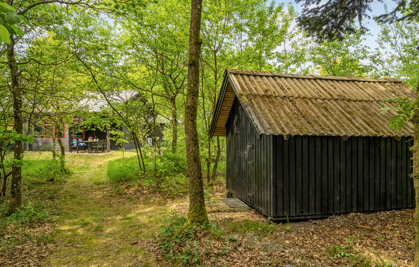 Ferienhaus - Aulum , Dänemark - C80175 102