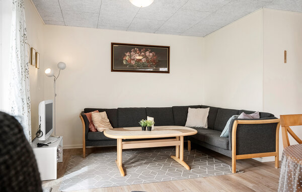 Ferienhaus - Skjern , Dänemark - C80704 3