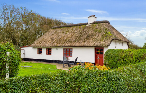 Feriehuse - Vedersø , Danmark - C81616 8