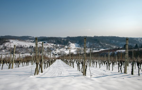 Kuća-za-odmor - Hrnjanec-Sv.Ivan Zelina , Hrvatska - CCC016 107