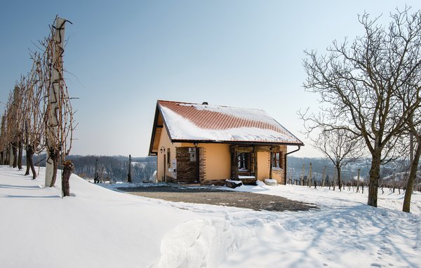 Kuća-za-odmor - Hrnjanec-Sv.Ivan Zelina , Hrvatska - CCC016 109
