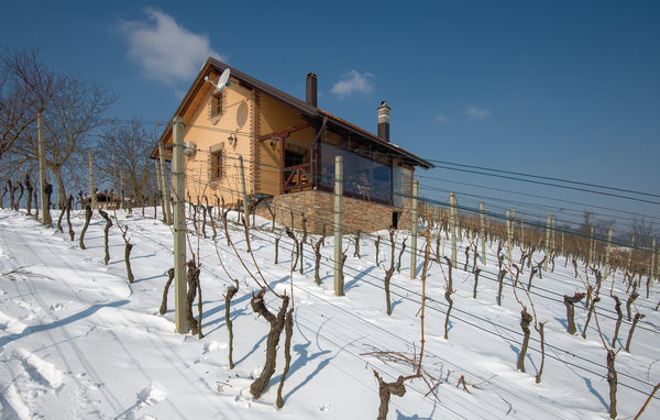 Kuća-za-odmor - Hrnjanec-Sv.Ivan Zelina , Hrvatska - CCC016 110
