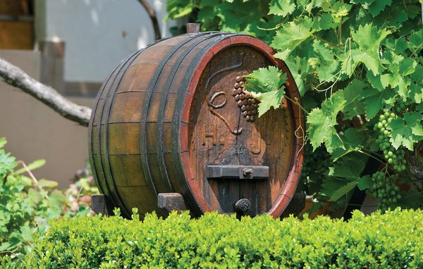 Ferienhaus - Varazdin-Vinica , Kroatien - CCC082 105
