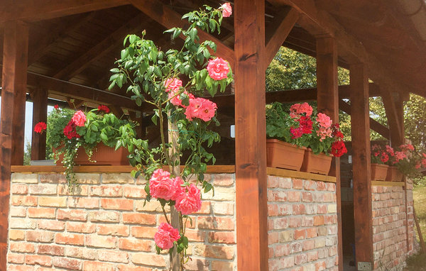 Holiday Home - Donje Taboriste-Slunj , Croatia - CCC140 15