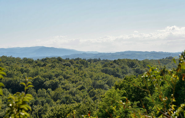 Domy wakacyjne - Zagreb-Kraljev Vrh , Chorwacja - CCC270 202