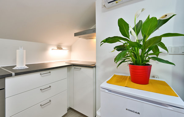 Domy wakacyjne - Zagreb - Paruzevina , Chorwacja - CCC356 405