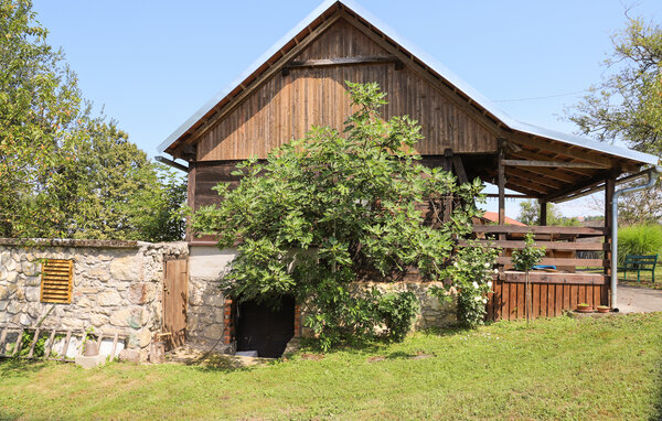 Dům 