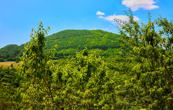 Kuća-za-odmor - Samobor - Klake , Hrvatska - CCC390 201