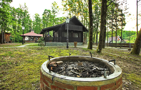 Domy wakacyjne - Velika Gorica-Gustelnica , Chorwacja - CCC453 106
