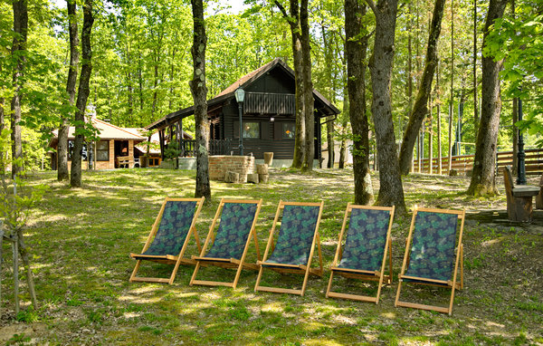Domy wakacyjne - Velika Gorica-Gustelnica , Chorwacja - CCC453 108