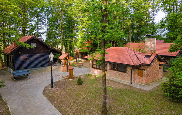 Domy wakacyjne - Velika Gorica-Gustelnica , Chorwacja - CCC453 110