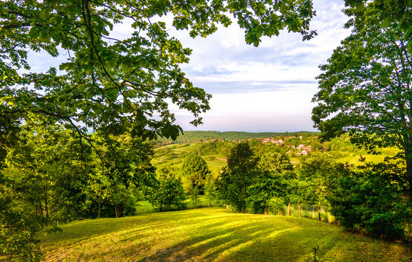 Domy wakacyjne - Velika Gorica-Gustelnica , Chorwacja - CCC453 201