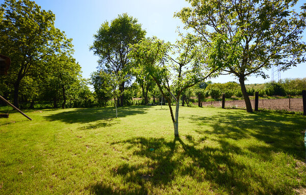 Holiday Home - Bjelovar - Utiskani , Croatia - CCC516 106