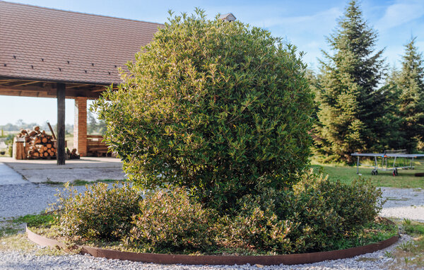 Domy wakacyjne - Ivanic Grad - Derezani , Chorwacja - CCC531 101