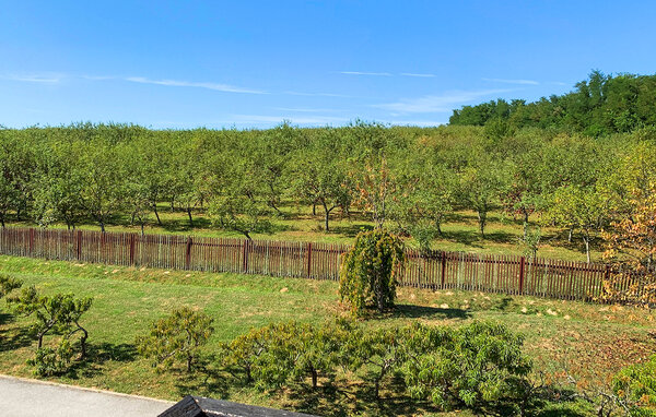 Kuća-za-odmor - Bjelovar - Gornja Kovacica , Hrvatska - CCC555 202