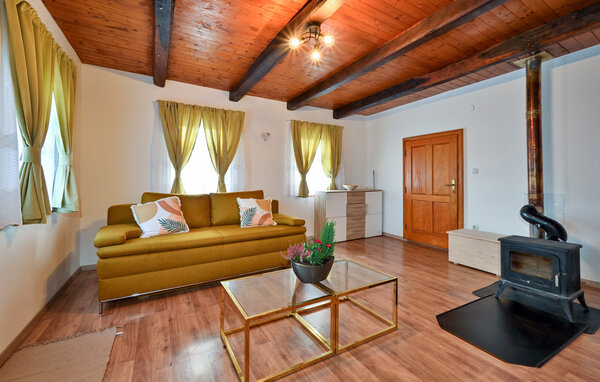 Domy wakacyjne - Sveti Ivan Zelina - Blaskovec , Chorwacja - CCC556 303
