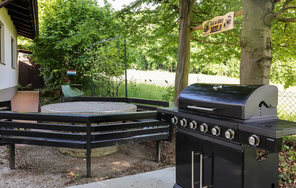 Feriehuse - Donja Stubica-Milekovo Selo , Kroatien - CCC559 102