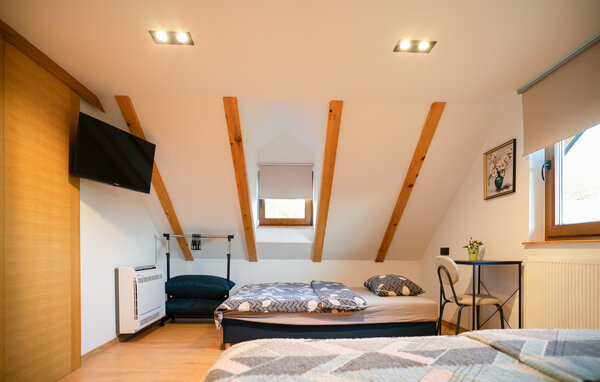 Holiday Home - Zagreb - Pisarovina , Croatia - CCC700 605