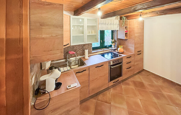 Holiday Home - Velika Gorica-Velika Jamnicka , Croatia - CCC709 401