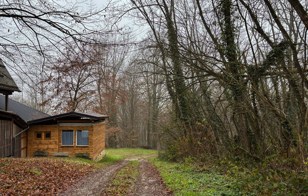 Holiday Home - Bunjani , Croatia - CCC718 81