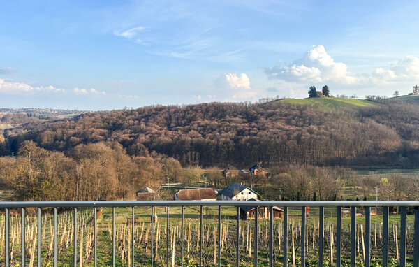 Domy wakacyjne - Cakovec-Banfi , Chorwacja - CCC725 201