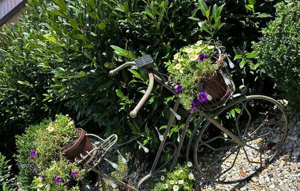 Holiday Home - Nasice , Croatia - CCC728 103