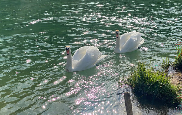 Holiday Home - Slunj , Croatia - CCC734 901