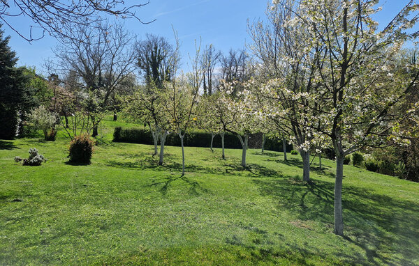 Domy wakacyjne - Cazma , Chorwacja - CCC736 102
