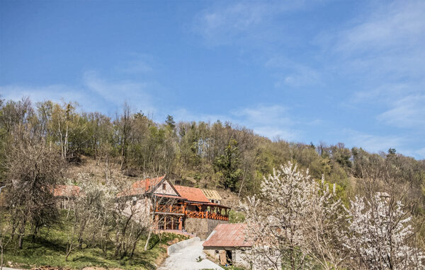 Holiday Home - Lepoglava - Zarovnica , Croatia - CCC755 81