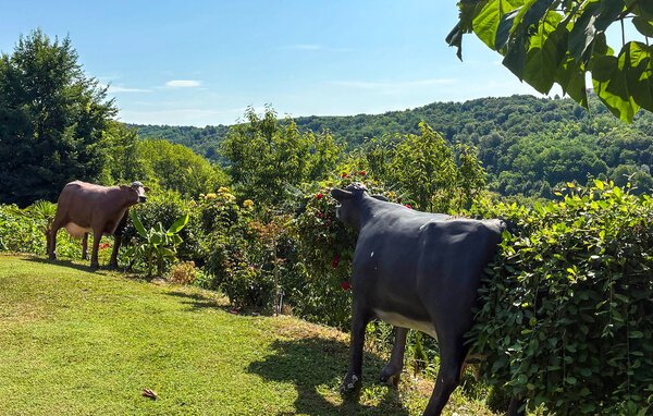 Holiday Home - Novi Marof , Croatia - CCC758 103